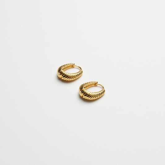 Oval Twisted Earrings | Gold