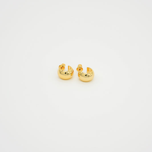 Polished Earrings | Gold